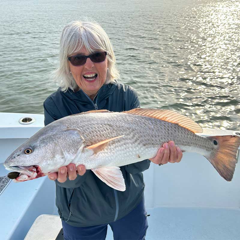AHQ INSIDER Hilton Head Island (SC) 2023 Week 13 Fishing Report - Updated March 30