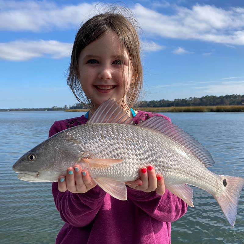 AHQ INSIDER Hilton Head Island (SC) Winter 2022 Fishing Report - Updated January 20