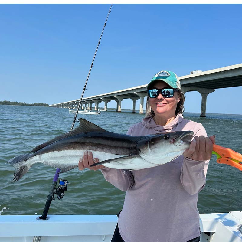 AHQ INSIDER Hilton Head Island (SC) 2023 Week 23 Fishing Report - Updated June 8
