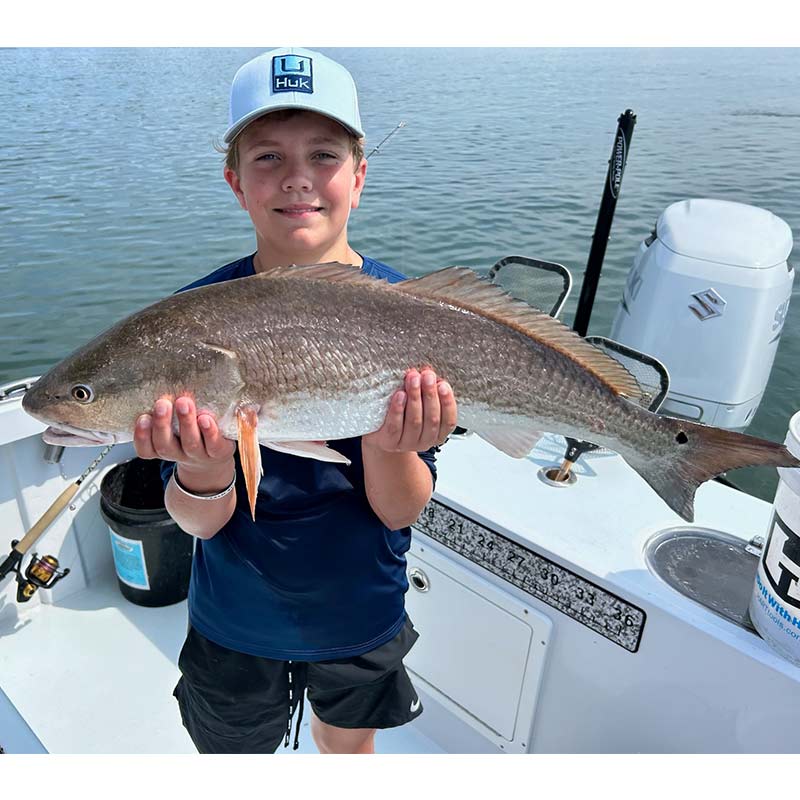 AHQ INSIDER Hilton Head Island (SC) 2023 Week 30 Fishing Report - Updated July 27
