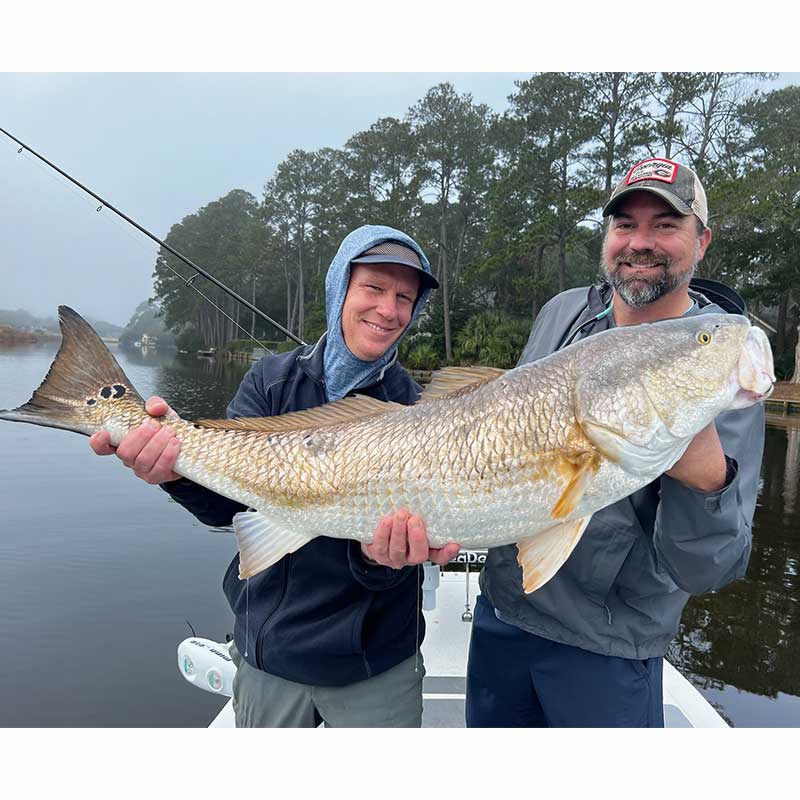 AHQ INSIDER Hilton Head Island (SC) 2024 Week 5 Fishing Report - Updated February 2