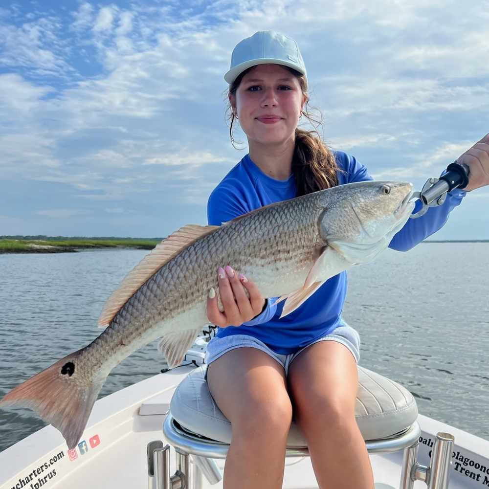 A typically large redfish caught this week with Captain Kai Williams 