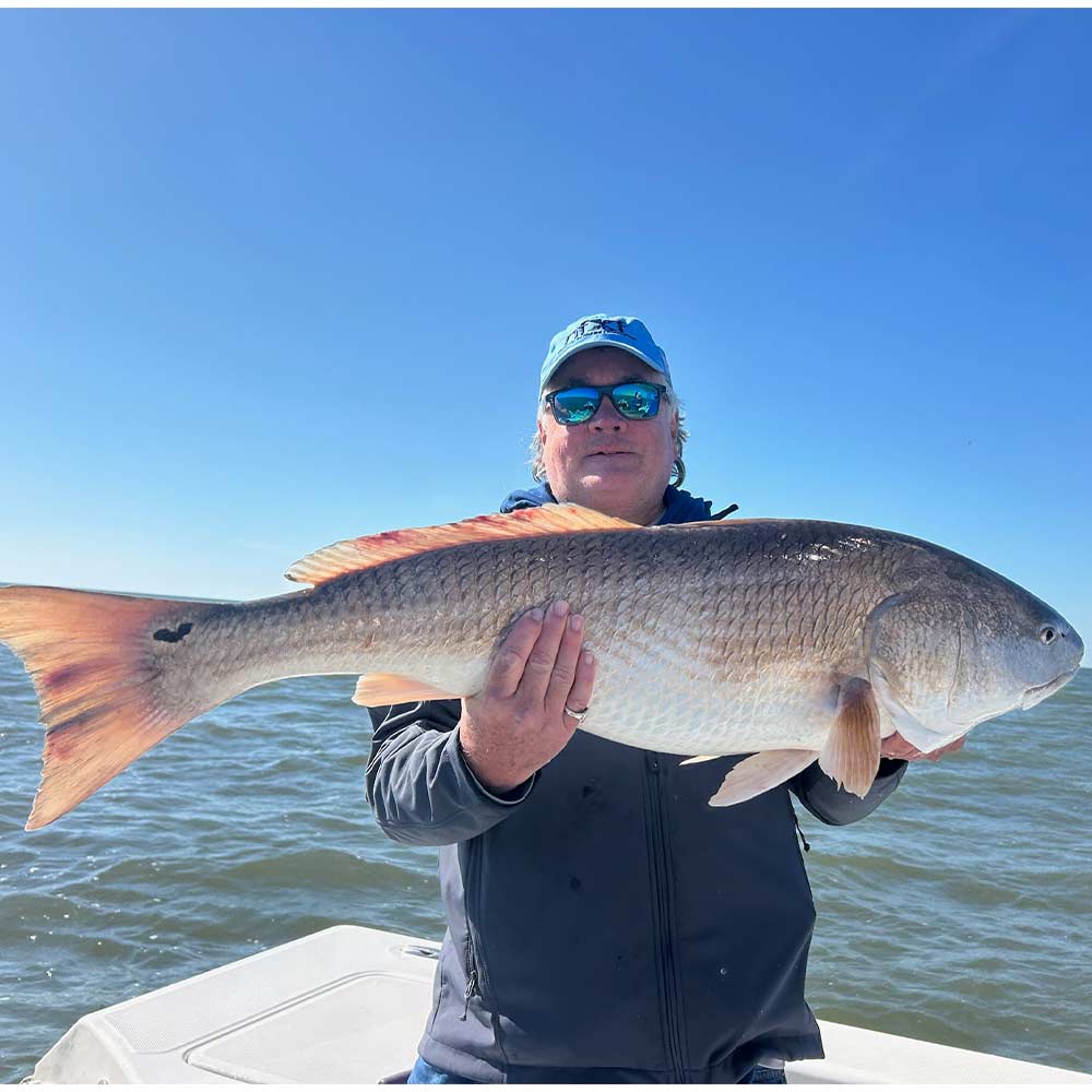 A bull red drum this week with Captain Kai Williams 