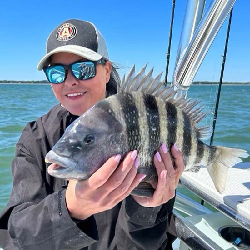 AHQ INSIDER Hilton Head Island (SC) 2023 Week 17 Fishing Report - Updated April 27