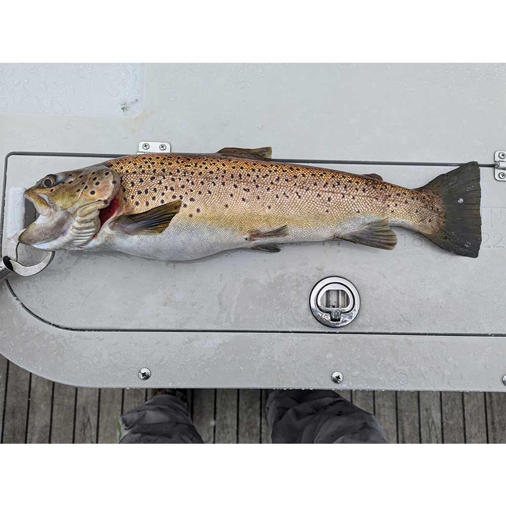 AHQ INSIDER Lake Jocassee (SC) 2025 Week 3 Fishing Report – Updated January 15