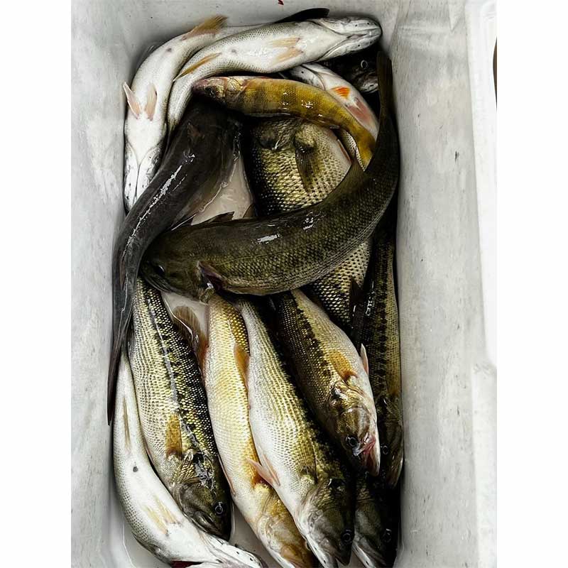 AHQ INSIDER Lake Jocassee (SC) 2024 Week 1 Fishing Report – Updated January 4