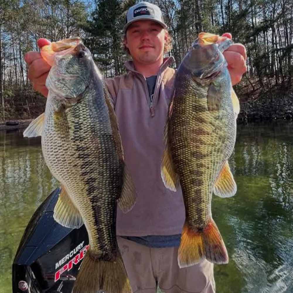A couple of Jocassee pigs 