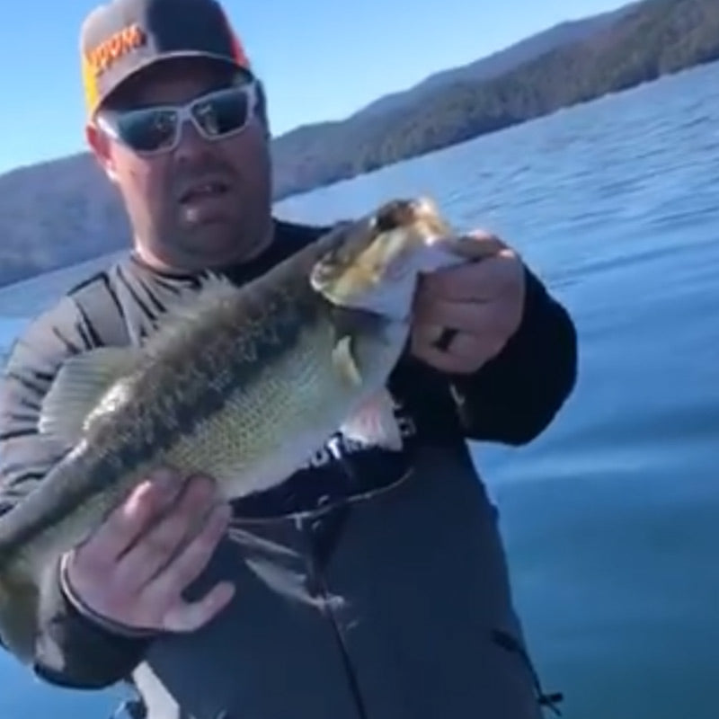 AHQ INSIDER Lake Jocassee (SC) Spring 2020 Fishing Report – Updated March 13