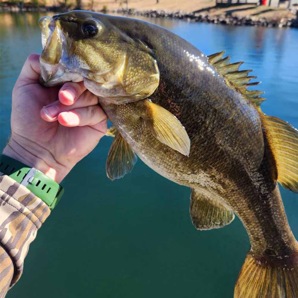 Casey Jones holds up a fat smallmouth