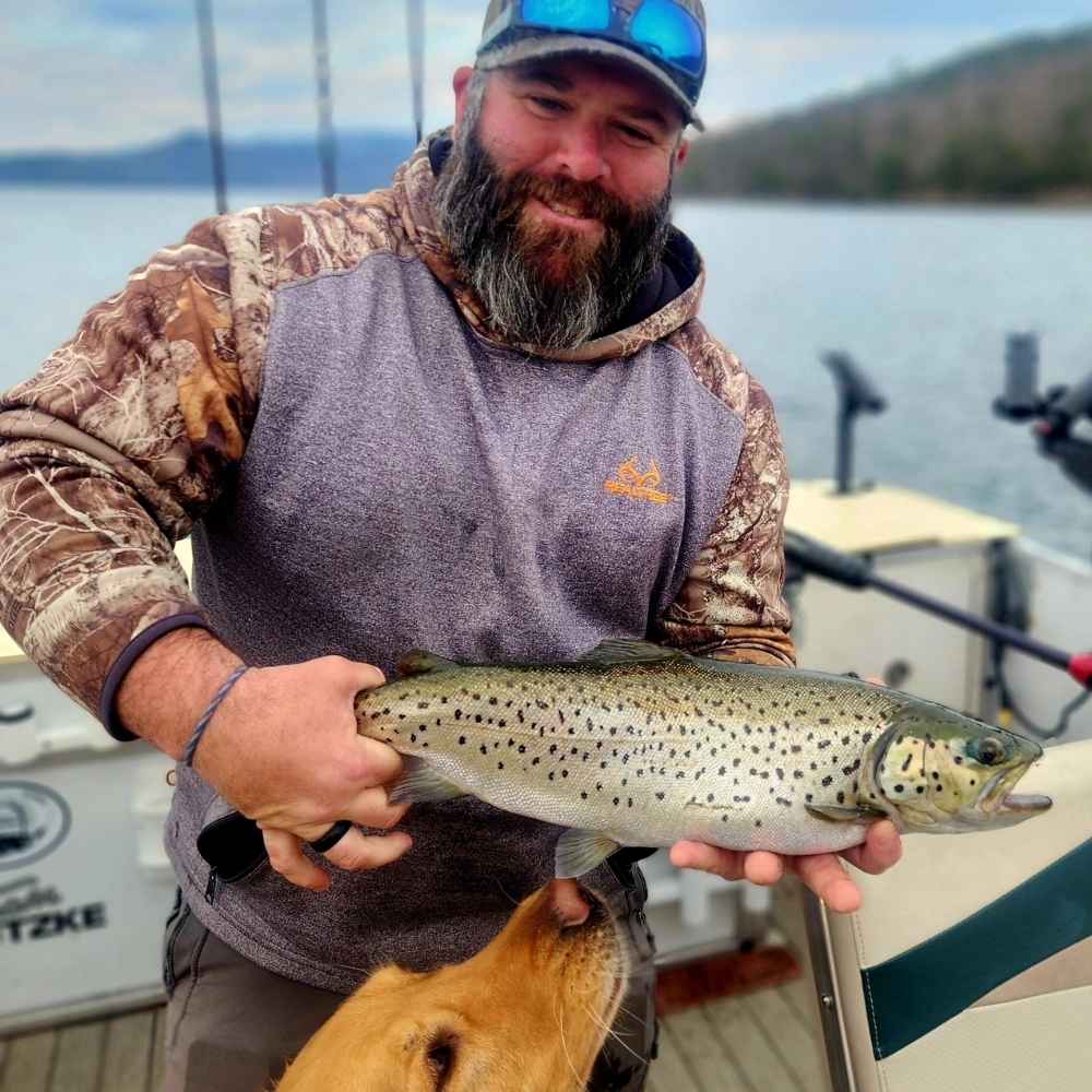 A pretty brown caught this week with Jocassee Charters 