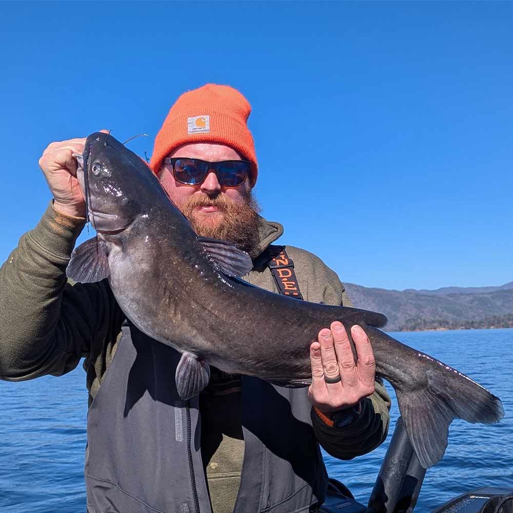 Photo courtesy of Matthew McCreery