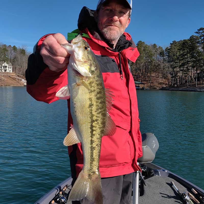 AHQ INSIDER Lake Keowee (SC) Spring 2020 Fishing Report - Updated January 29