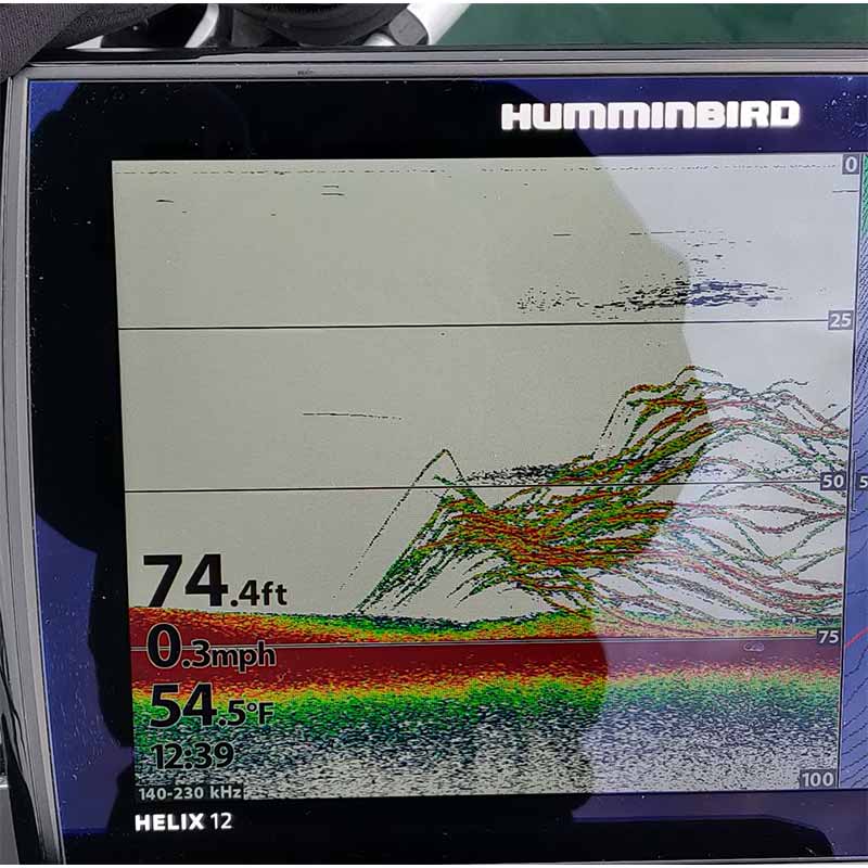 AHQ INSIDER Lake Keowee (SC) Spring 2021 Fishing Report - Updated February 2