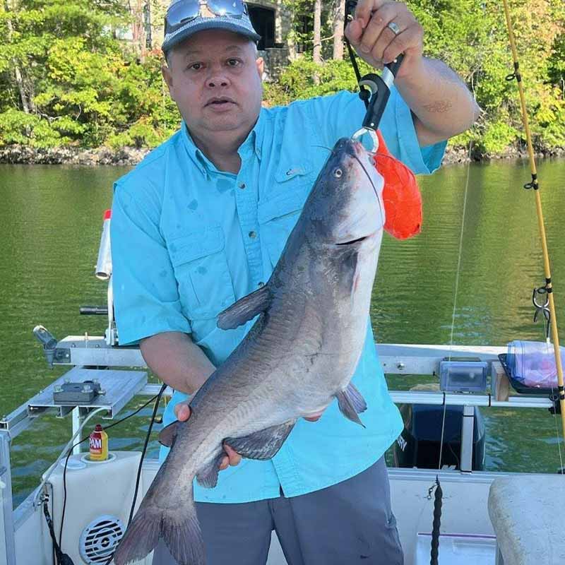 AHQ INSIDER Lake Keowee (SC) 2023 Week 36 Fishing Report - Updated September 8