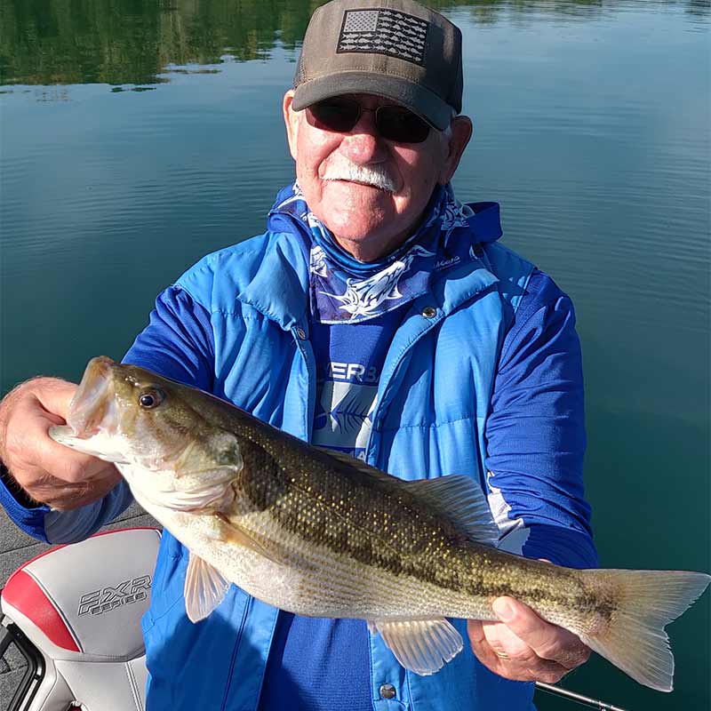 AHQ INSIDER Lake Keowee (SC) Fall 2020 Fishing Report - Updated October 9