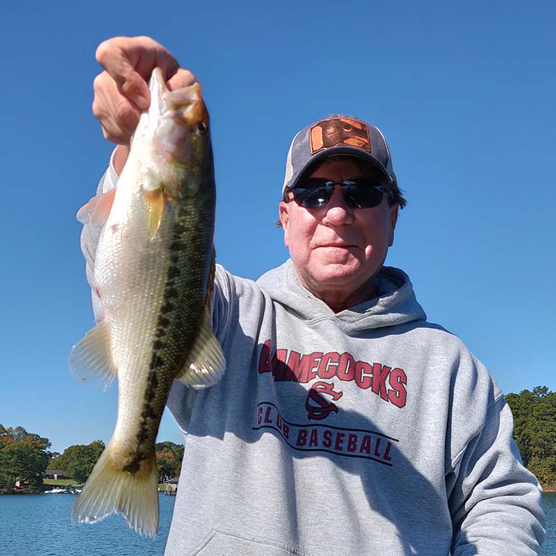 AHQ INSIDER Lake Keowee (SC) Fall 2020 Fishing Report - Updated October 23