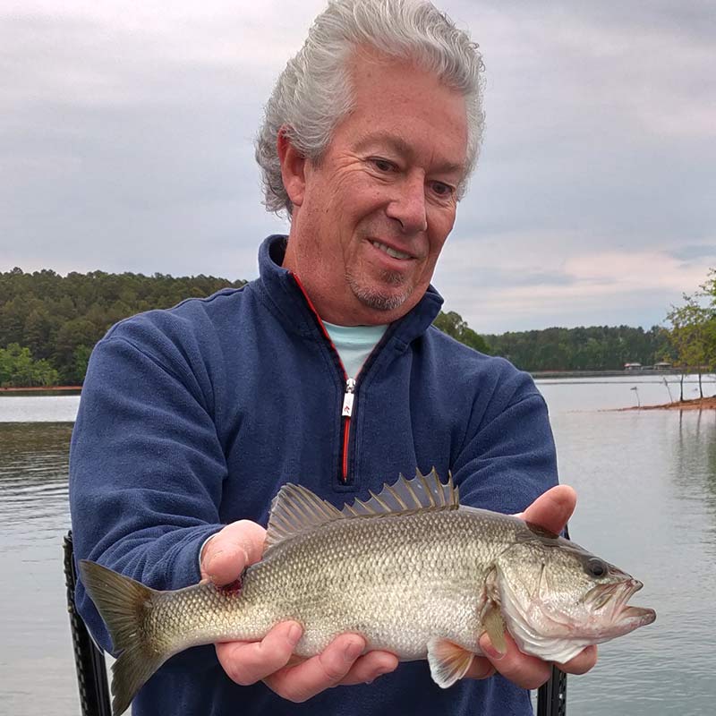 AHQ INSIDER Lake Keowee (SC) Spring 2020 Fishing Report - Updated May 13