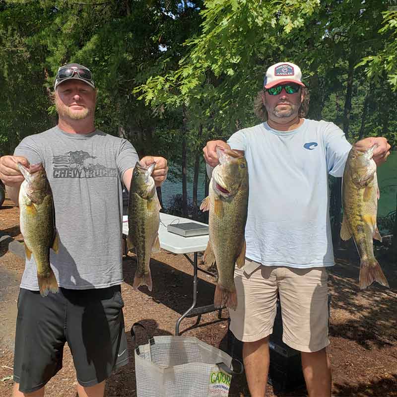 AHQ INSIDER Lake Keowee (SC) Fall 2021 Fishing Report - Updated September 17