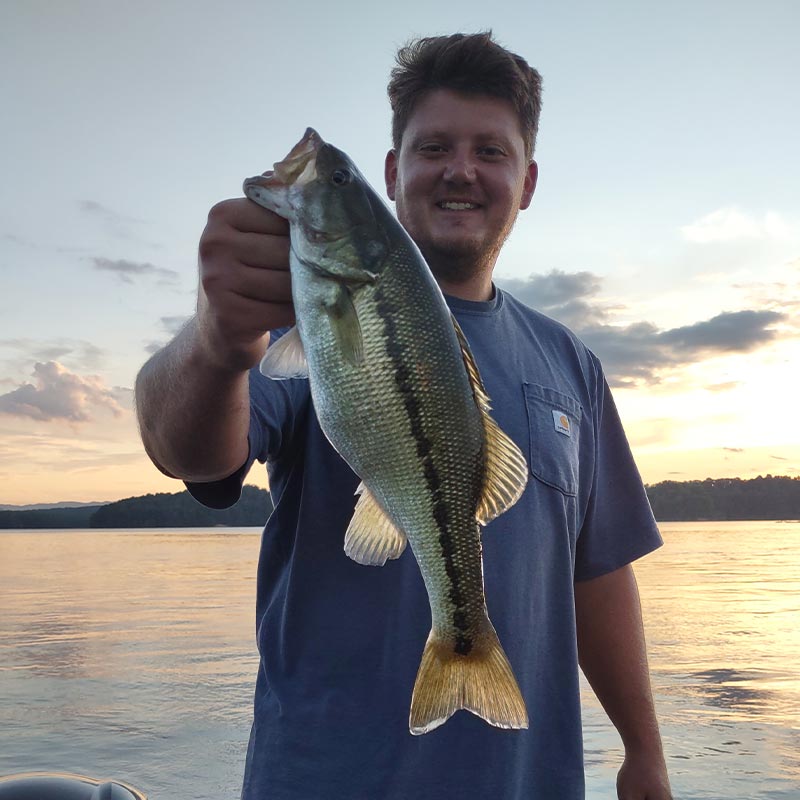 AHQ INSIDER Lake Keowee (SC) Summer 2021 Fishing Report - Updated July 27