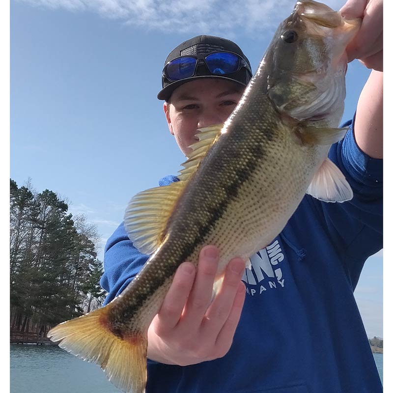 AHQ INSIDER Lake Keowee (SC) Spring 2021 Fishing Report - Updated March 25