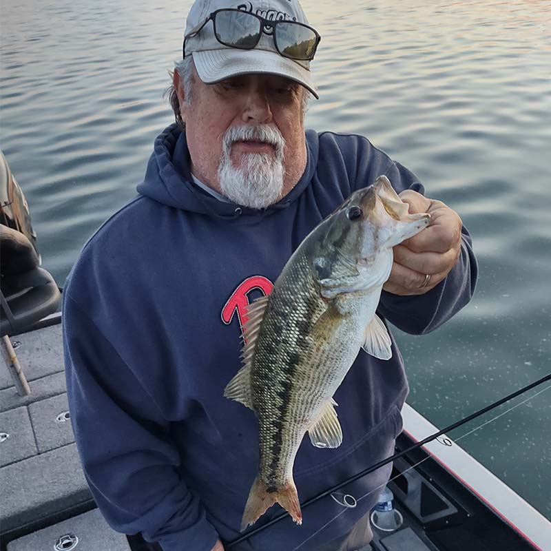 AHQ INSIDER Lake Keowee (SC) 2022 Week 19 Fishing Report - Updated May 12