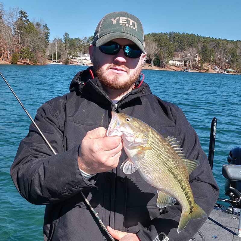 AHQ INSIDER Lake Keowee (SC) Spring 2020 Fishing Report - Updated February 6