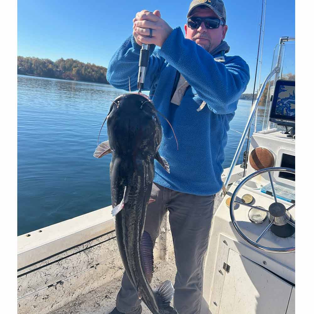 Another big one this week with Captain Chip Hamilton