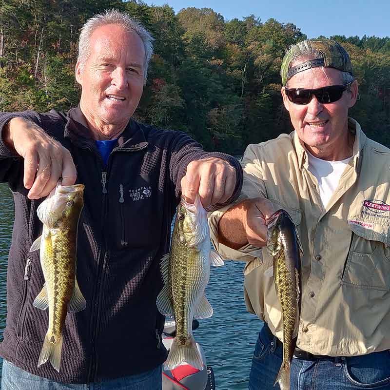 AHQ INSIDER Lake Keowee (SC) Fall 2020 Fishing Report - Updated November 1