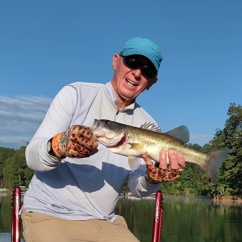 AHQ INSIDER Lake Keowee (SC) Summer 2020 Fishing Report - Updated July 10
