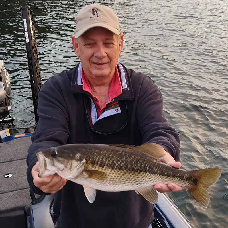 AHQ INSIDER Lake Keowee (SC) Fall 2021 Fishing Report - Updated October 1