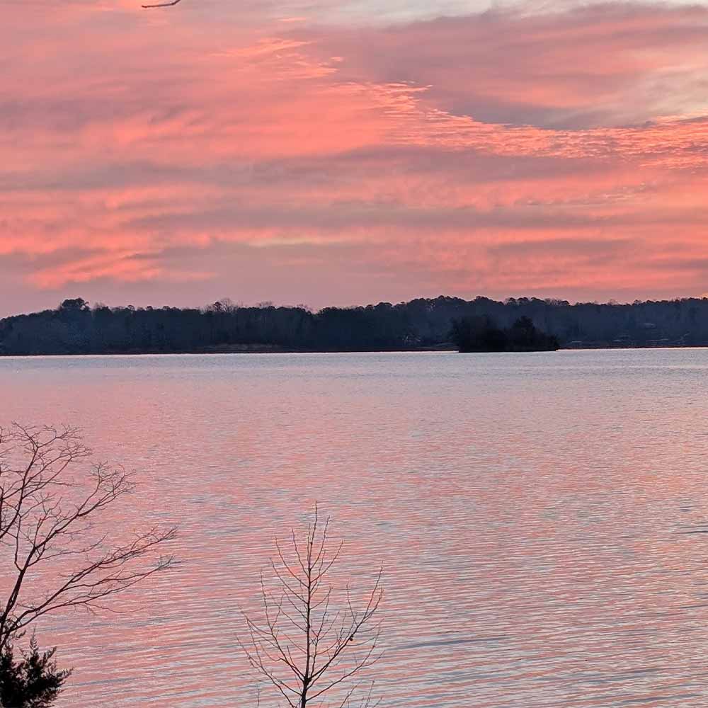 AHQ INSIDER Lake Keowee (SC) 2025 Week 5 Fishing Report - Updated January 29