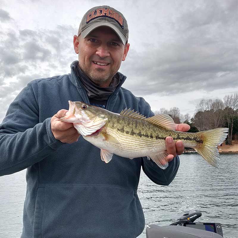AHQ INSIDER Lake Keowee (SC) Fall 2020 Fishing Report - Updated December 27