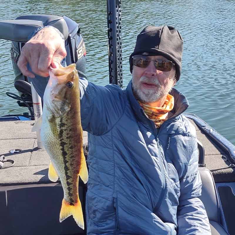 AHQ INSIDER Lake Keowee (SC) Fall 2021 Fishing Report - Updated October 25