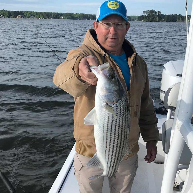 AHQ INSIDER Lake Murray (SC) Spring 2020 Fishing Report - Updated April 29