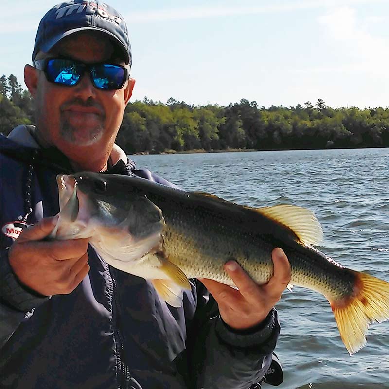 AHQ INSIDER Lake Russell (GA/SC) Spring 2020 Fishing Report – Updated April 30