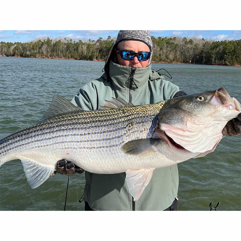 AHQ INSIDER Lake Russell (GA/SC) 2023 Week 4 Fishing Report – Updated January 27