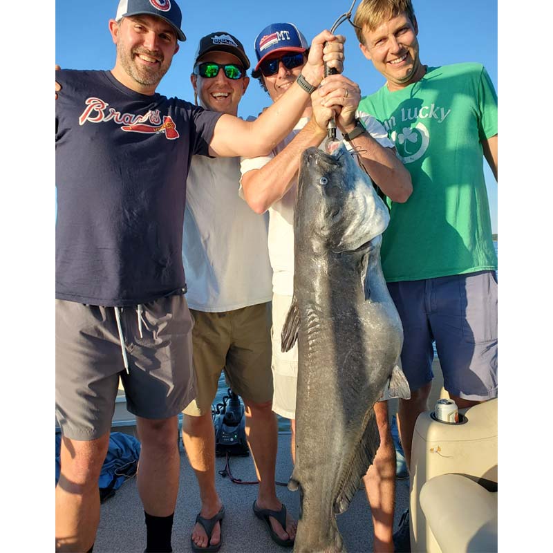 A giant caught free-line drifting on Monty