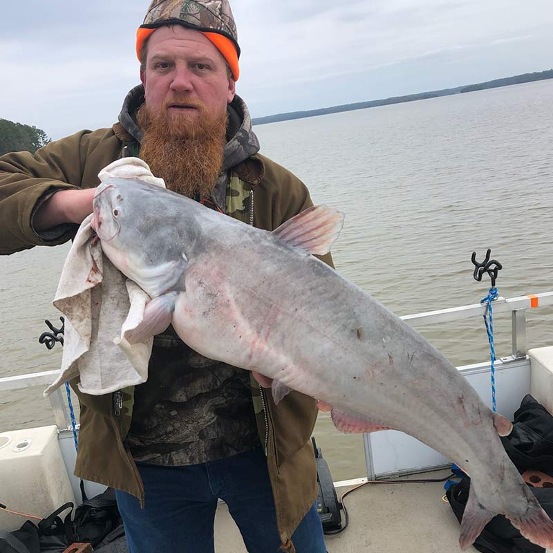 AHQ INSIDER Lake Monticello (SC) Spring 2020 Fishing Report – Updated February 28