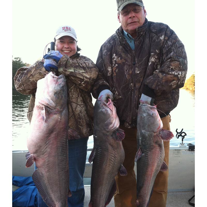 AHQ INSIDER Lake Monticello (SC) Spring 2020 Fishing Report – Updated January 31