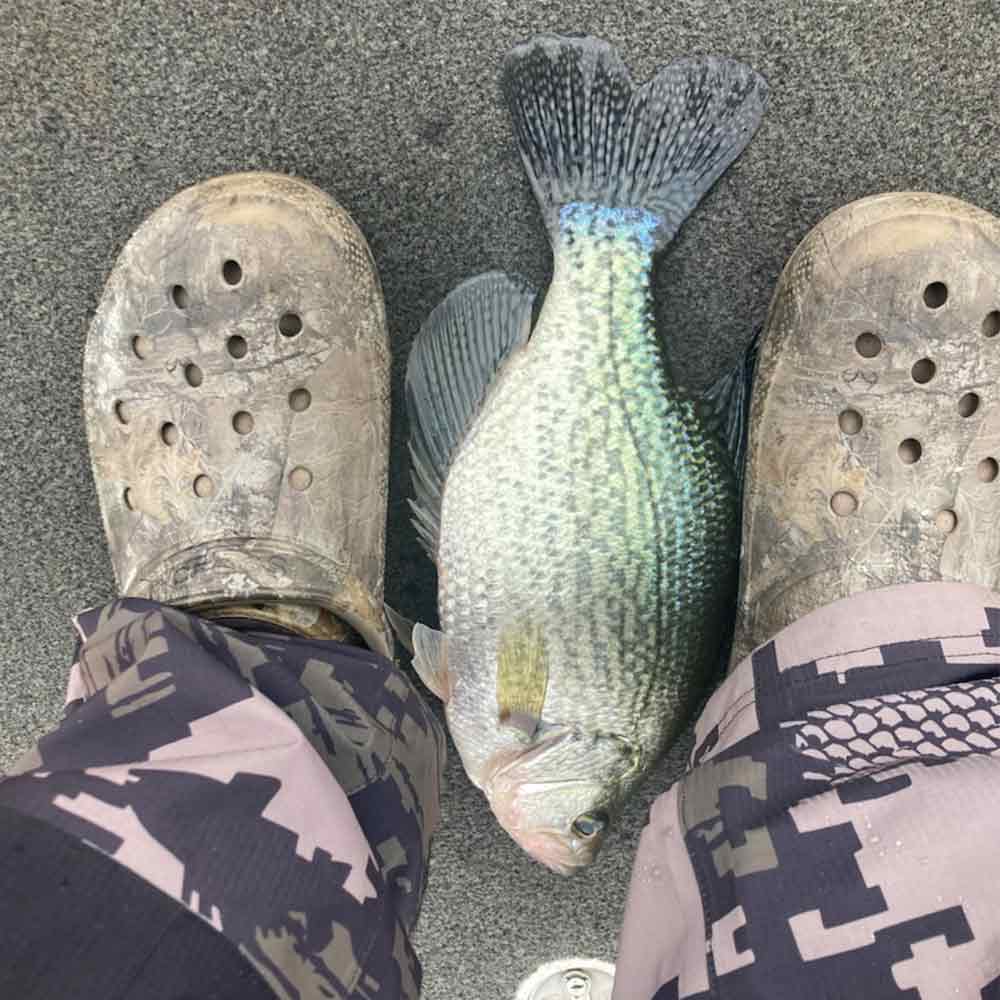 More to come from Eric Enlow...