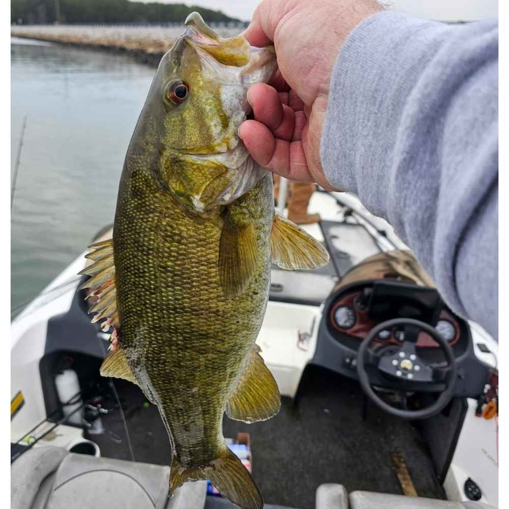 A pretty Monticello smallmouth - photo courtesy of Eric Enlow