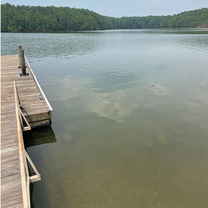 AHQ INSIDER Lake Monticello (SC) 2023 Week 29 Fishing Report – Updated July 20