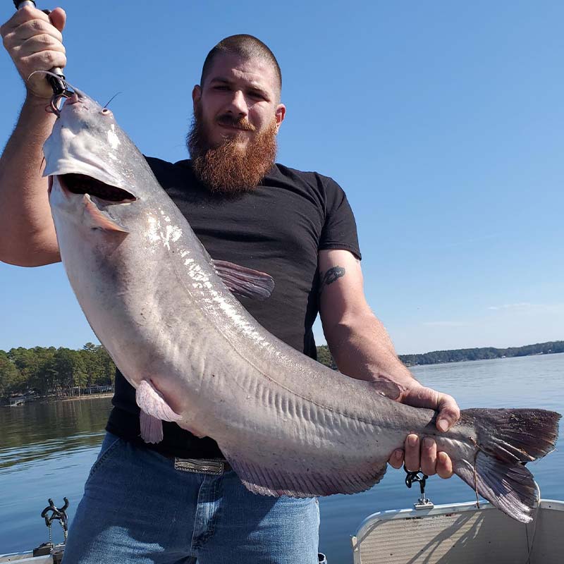 AHQ INSIDER Lake Monticello (SC) 2023 Week 47 Fishing Report – Updated November 21