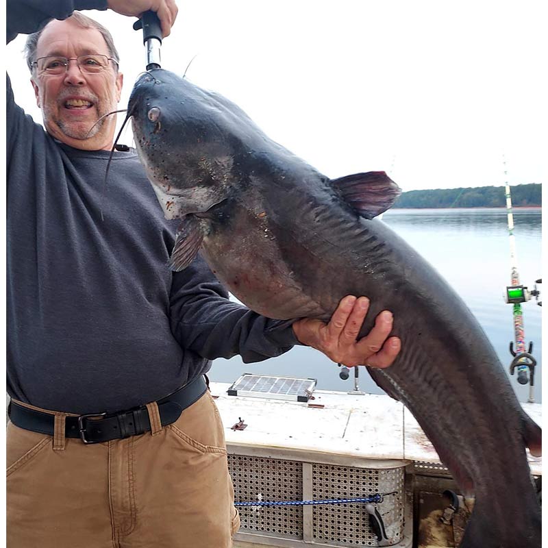 AHQ INSIDER Lake Monticello (SC) 2023 Week 44 Fishing Report – Updated November 3