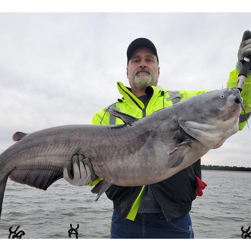 AHQ INSIDER Lake Monticello (SC) Fall 2021 Fishing Report – Updated November 19