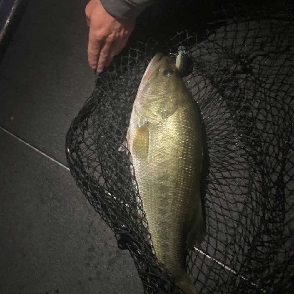 Photo courtesy of Eric Enlow