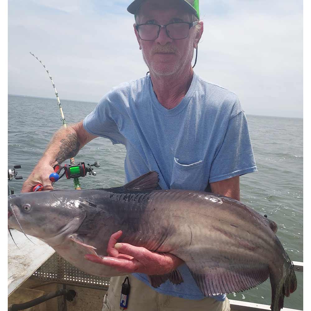 AHQ INSIDER Lake Monticello (SC) 2025 Week 22 Fishing Report – Updated May 29