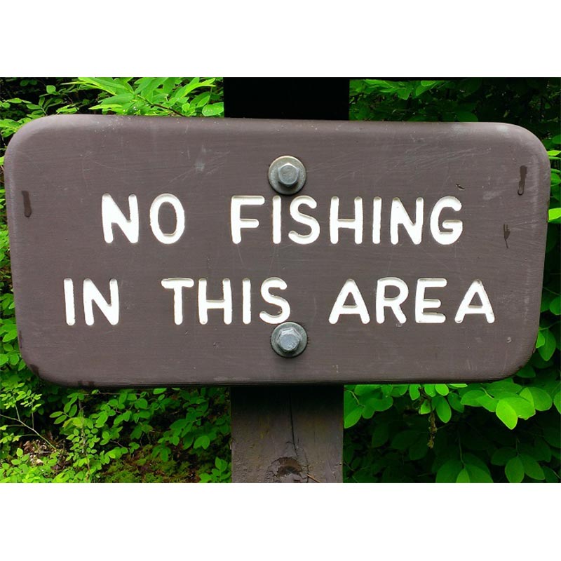 AHQ INSIDER Lake Jocassee (SC) Spring 2020 Fishing Report – Updated March 30