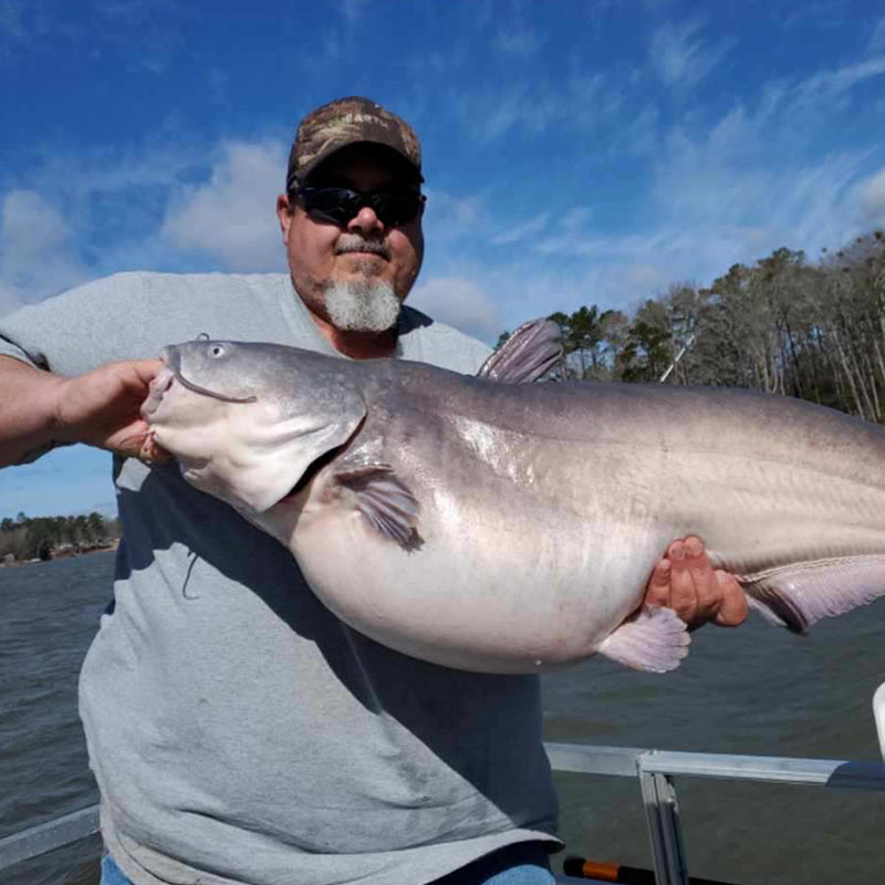 HQ INSIDER Lake Monticello (SC) Spring 2022 Fishing Report – Updated March 10