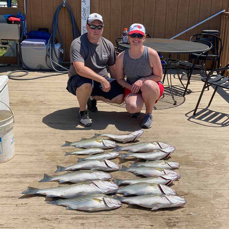 AHQ INSIDER Lake Murray (SC) Fall 2020 Fishing Report - Updated September 18